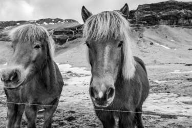 Scott Antcliffe photos for Nikon magazine article