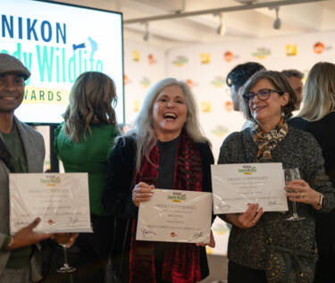 Nikon Comedy Wildlife Awards 2024