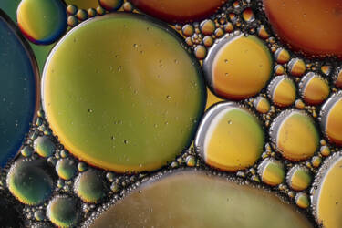 Ross Hoddinott | Nikon magazine