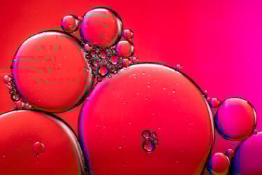 Ross Hoddinott |  Nikon magazine