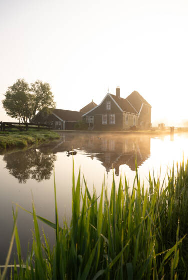 Images for Nikon magazine