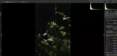 Nikon magazine - camera 101 NX Studio 